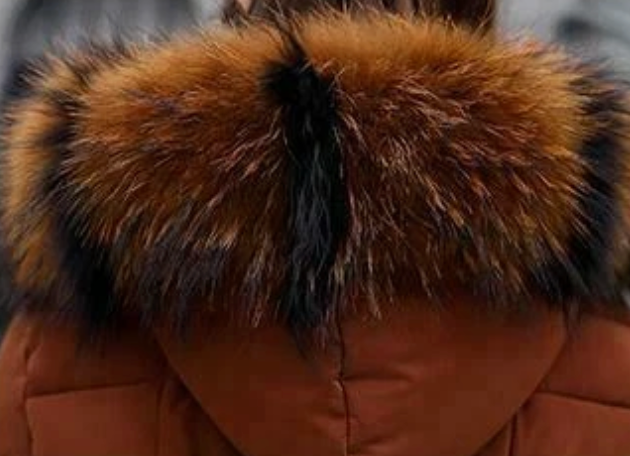 Dame Lang Vinterfrakke | Bælte og Pelskantet Hætte